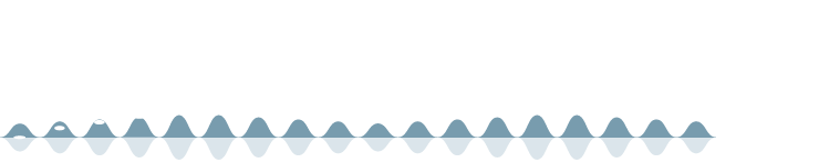 animationsmuster