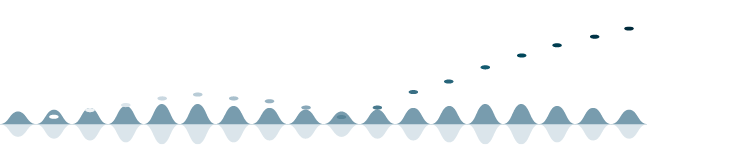 animationsmuster